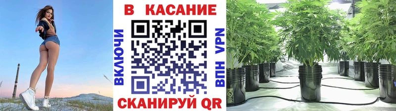 Как найти закладки Брянск A-PVP Мефедрон АМФ ГАШ Галлюциногенные грибы Кокаин Канабис