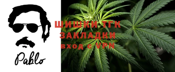 стафф Новодвинск