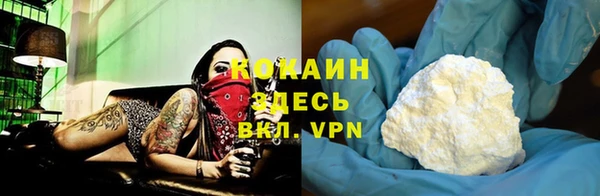 индика Абдулино