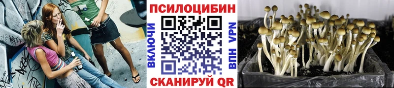 Галлюциногенные грибы Cubensis  Брянск 