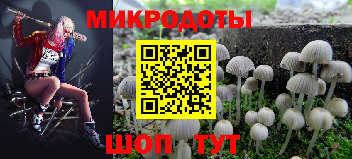 Брянск  Галлюциногенные грибы прущие грибы  Вход с VPN  Галлюциногенные грибы Magic Shrooms 