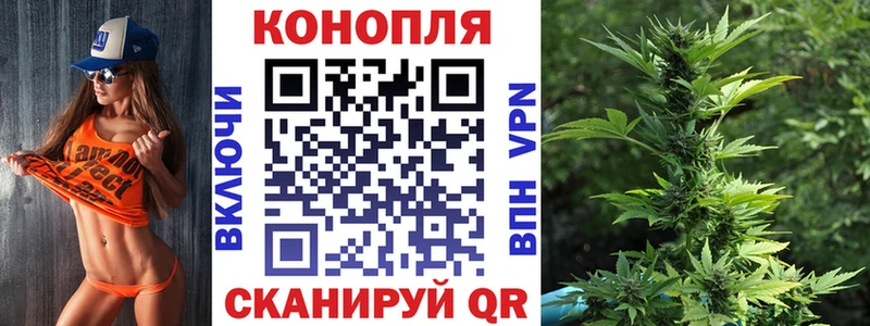 Конопля Bruce Banner  как найти закладки  Брянск 